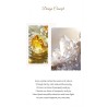 Genuine Wealth Crystal Yellow Red Clear Quartz Bracelet